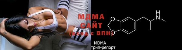 гидра Арсеньев