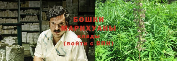 гидра Арсеньев