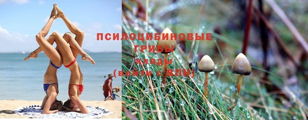 амф Баксан